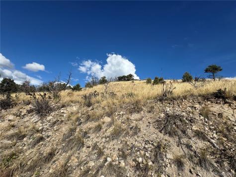 0 27th Trail Cotopaxi CO 81223