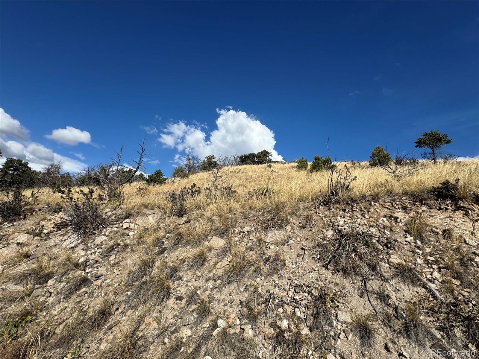 0 27th Trail Cotopaxi CO 81223