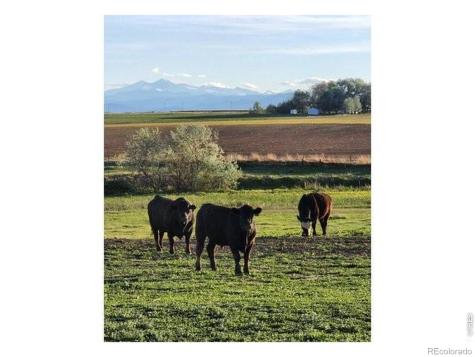 0 County Road 76 1/2 Windsor CO 80550