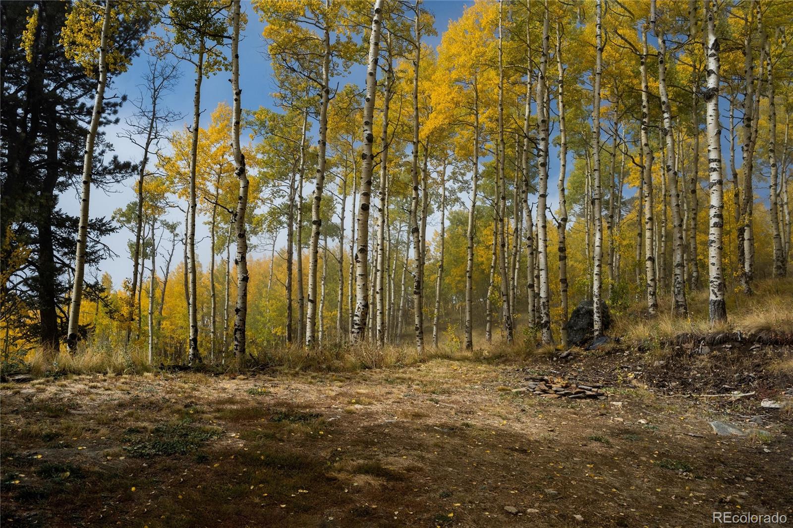 0 Robinson Hill Road Golden CO 80403