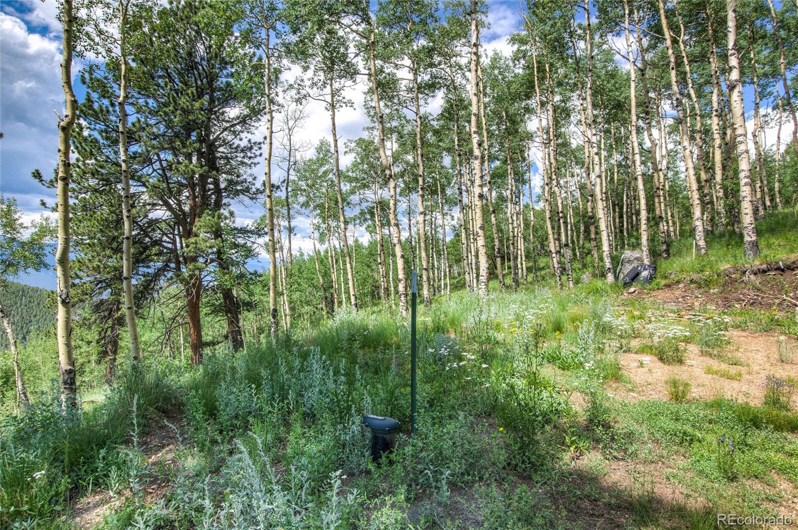 0 Robinson Hill Road Golden CO 80403