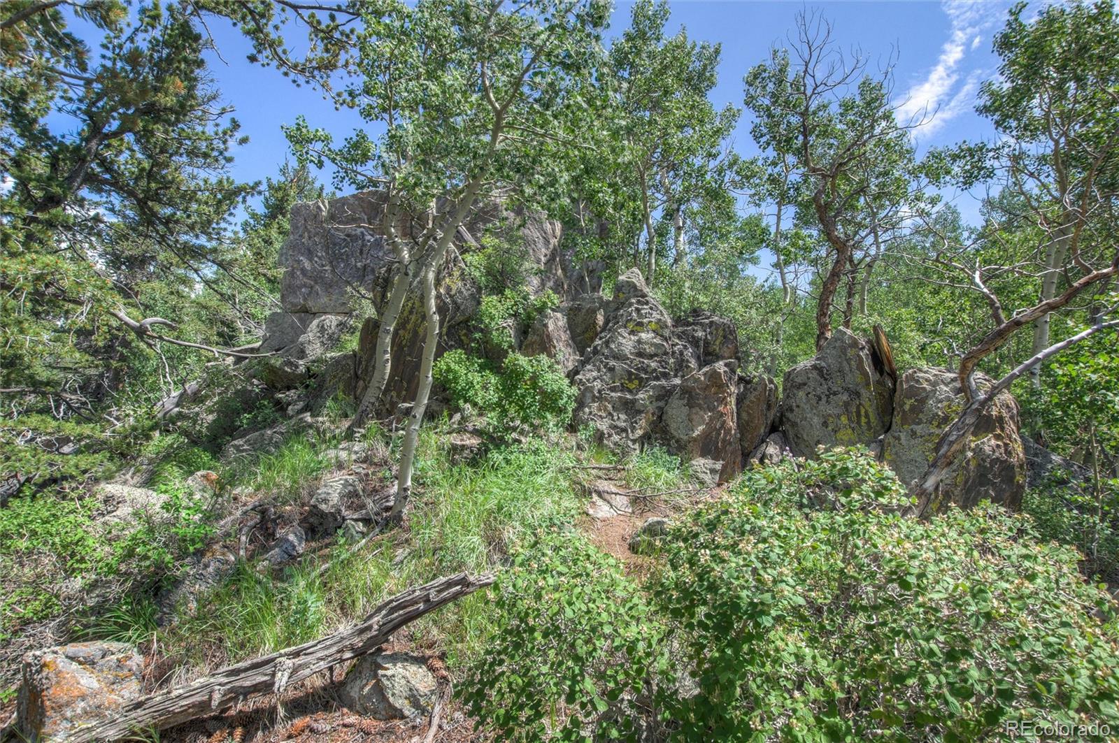 0 Robinson Hill Road Golden CO 80403