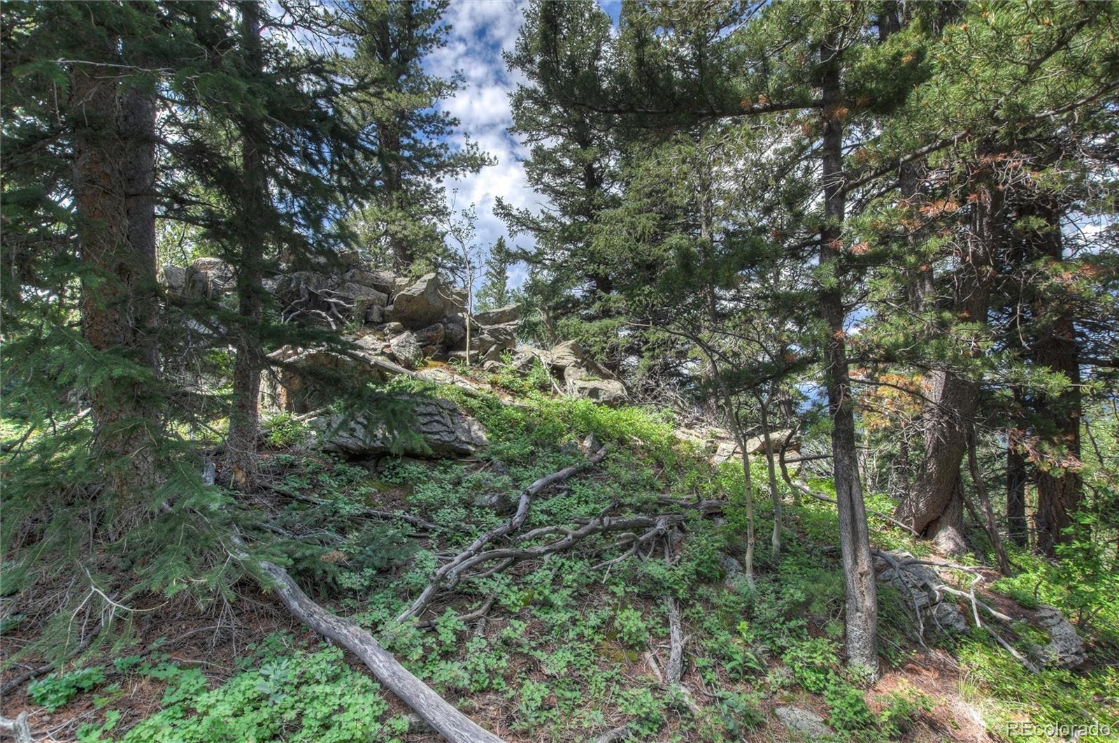 0 Robinson Hill Road Golden CO 80403