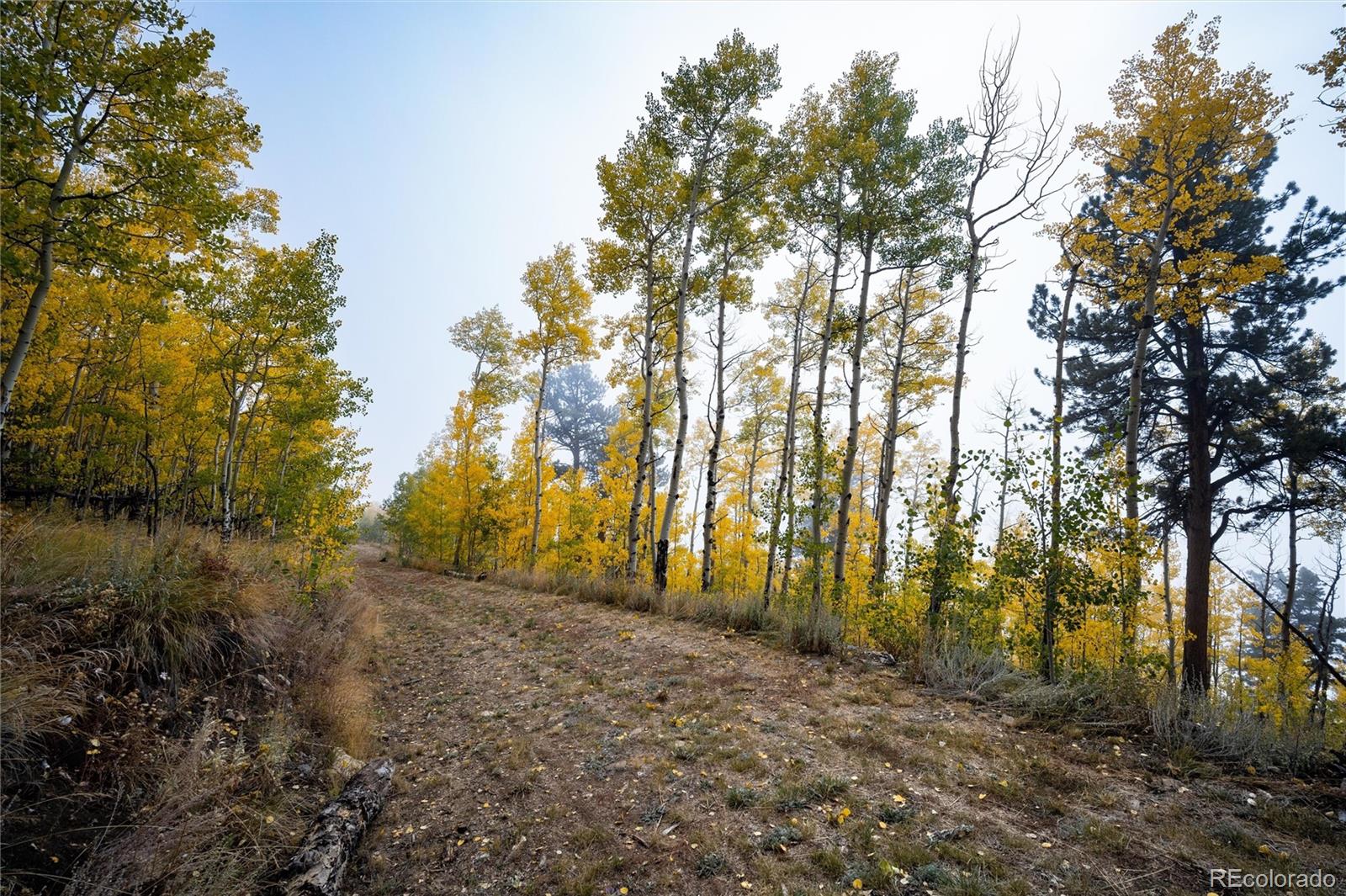 0 Robinson Hill Road Golden CO 80403