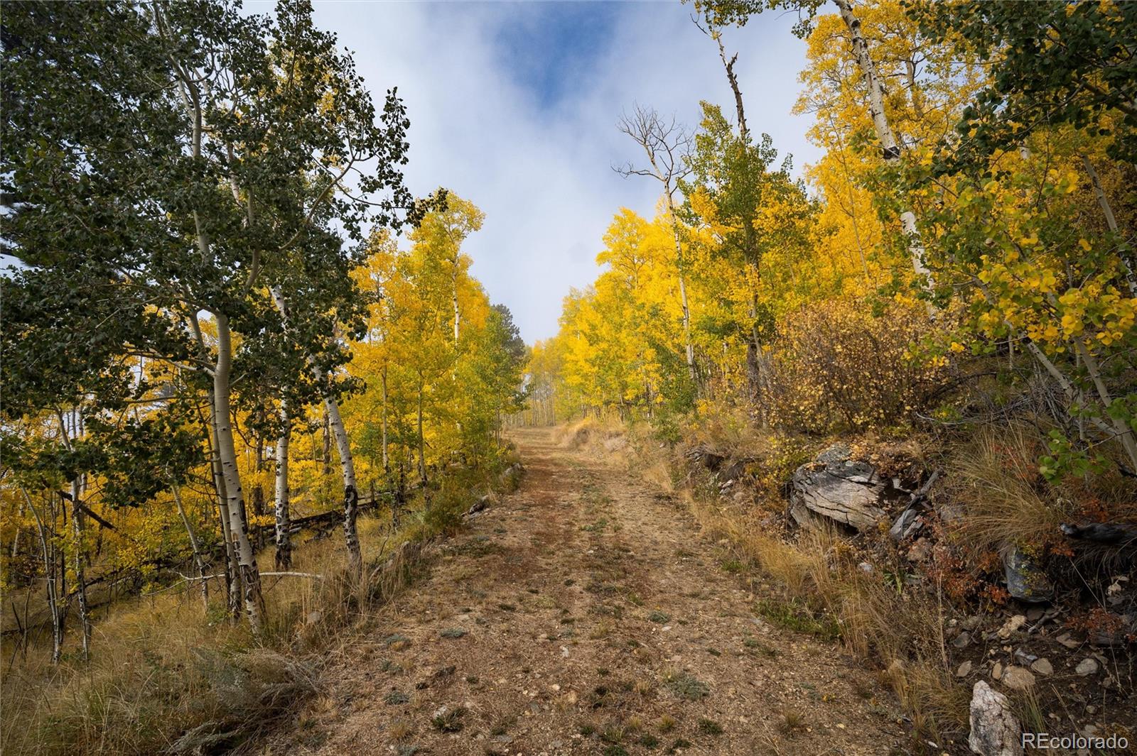 0 Robinson Hill Road Golden CO 80403