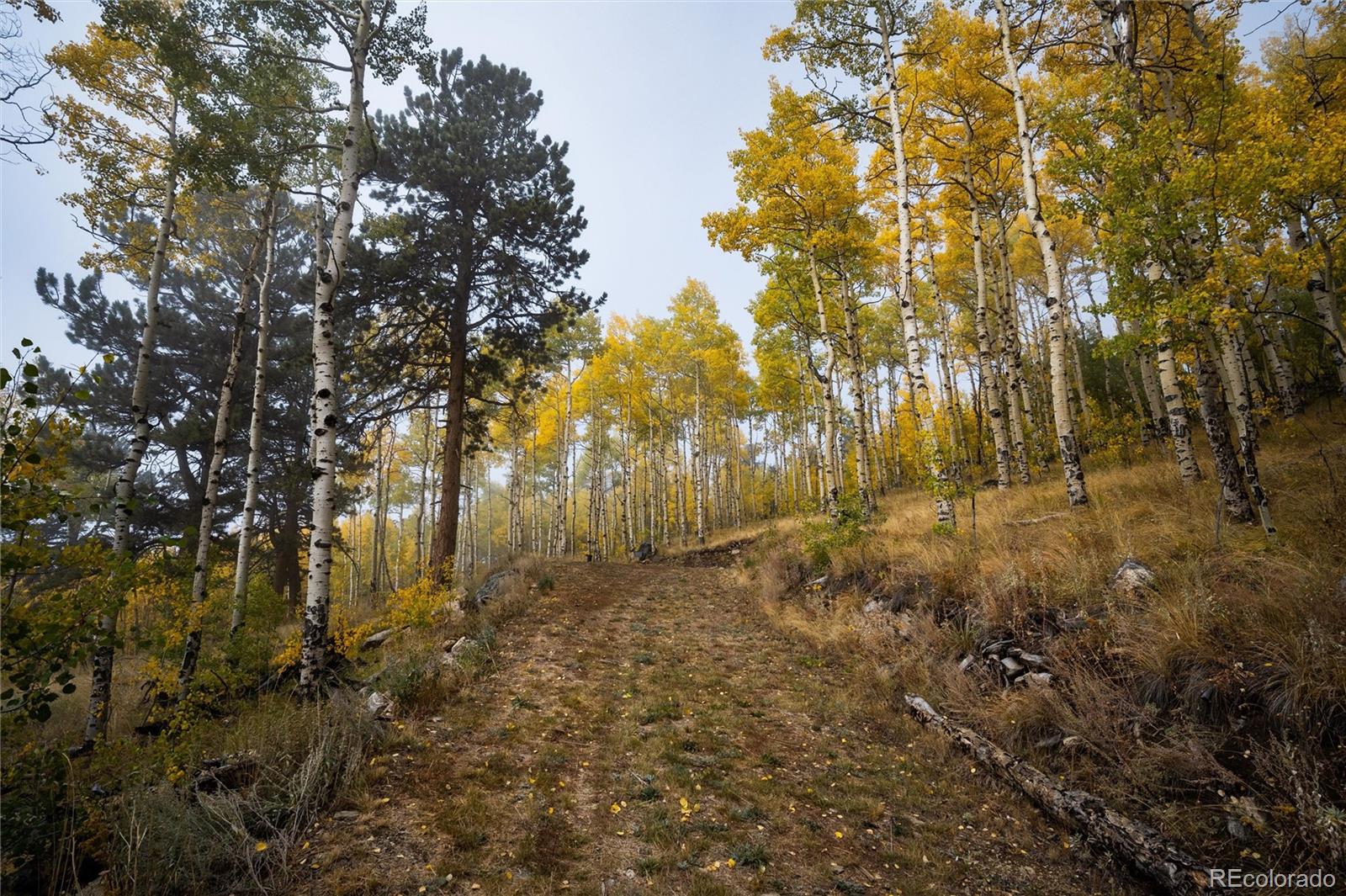0 Robinson Hill Road Golden CO 80403