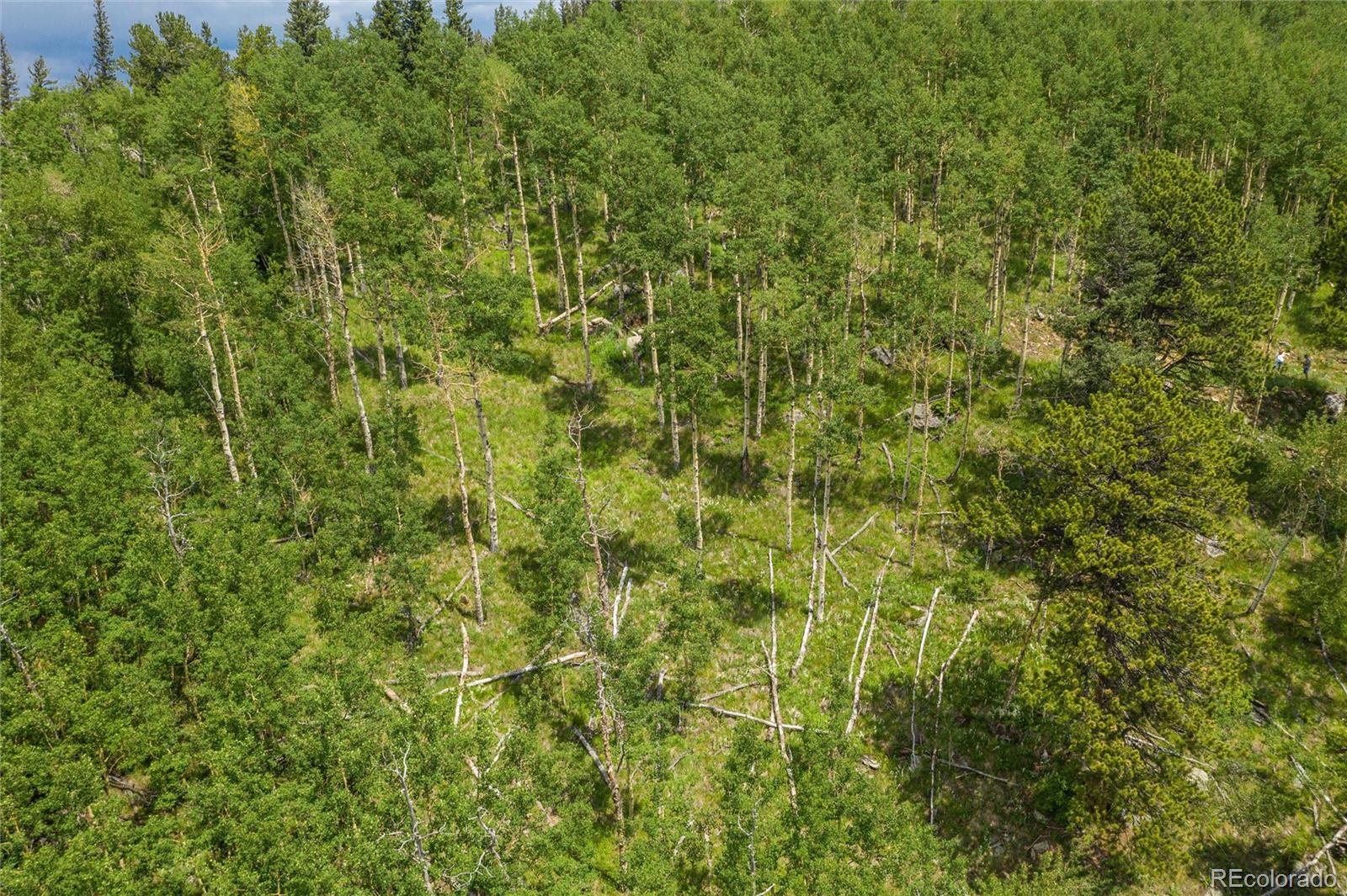 0 Robinson Hill Road Golden CO 80403