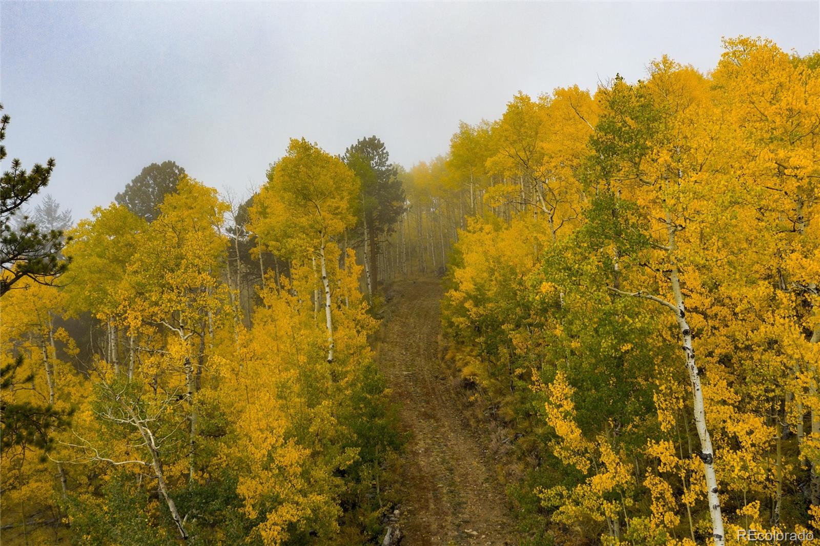0 Robinson Hill Road Golden CO 80403