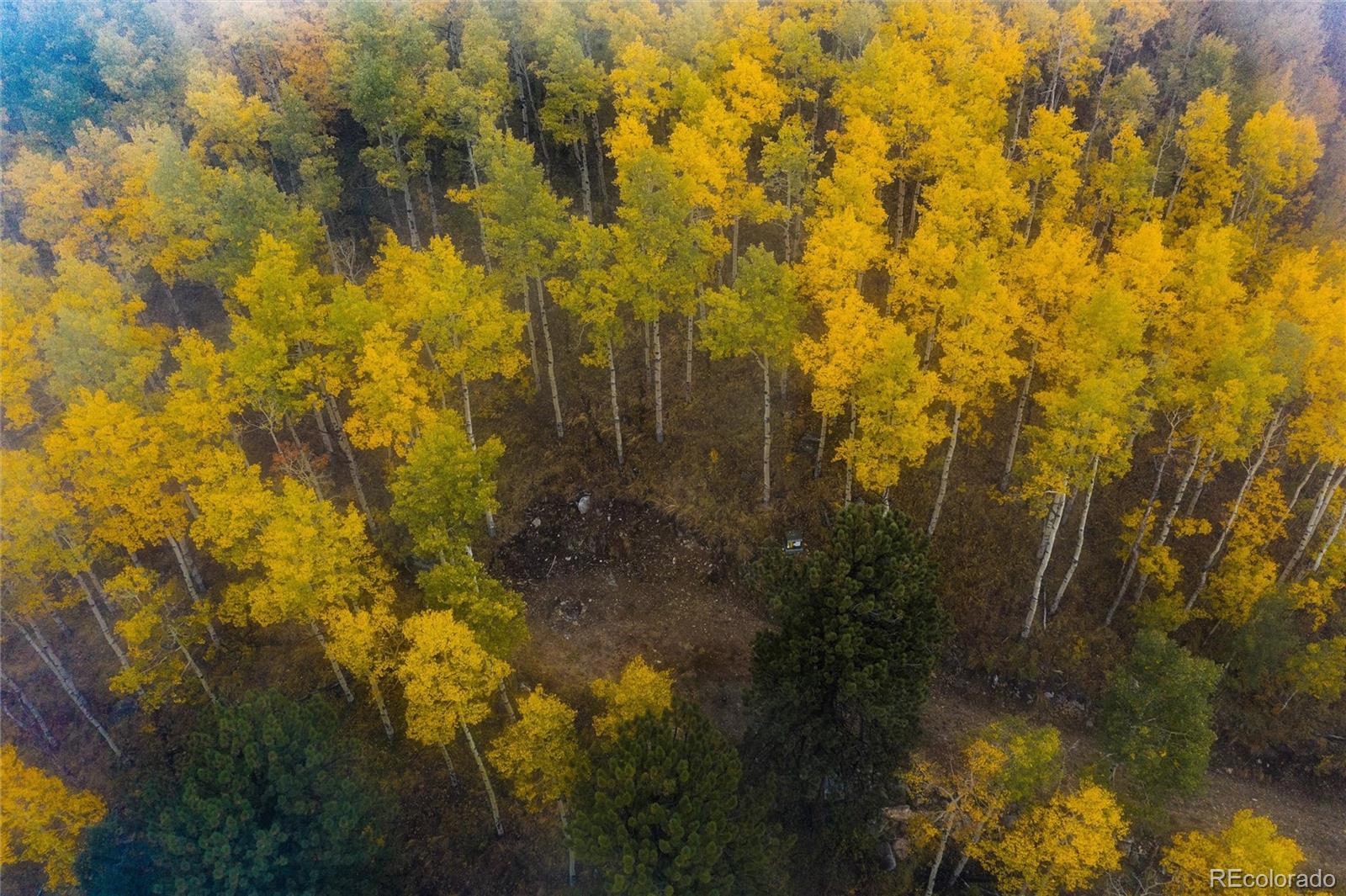 0 Robinson Hill Road Golden CO 80403