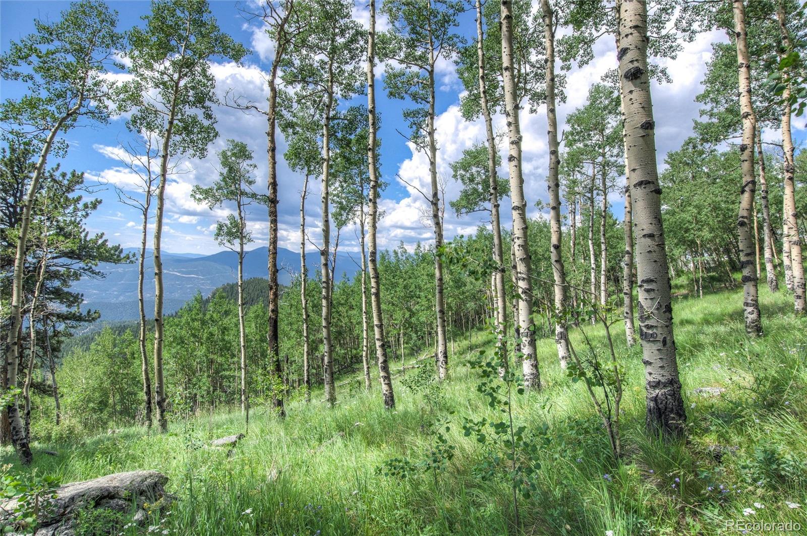 0 Robinson Hill Road Golden CO 80403