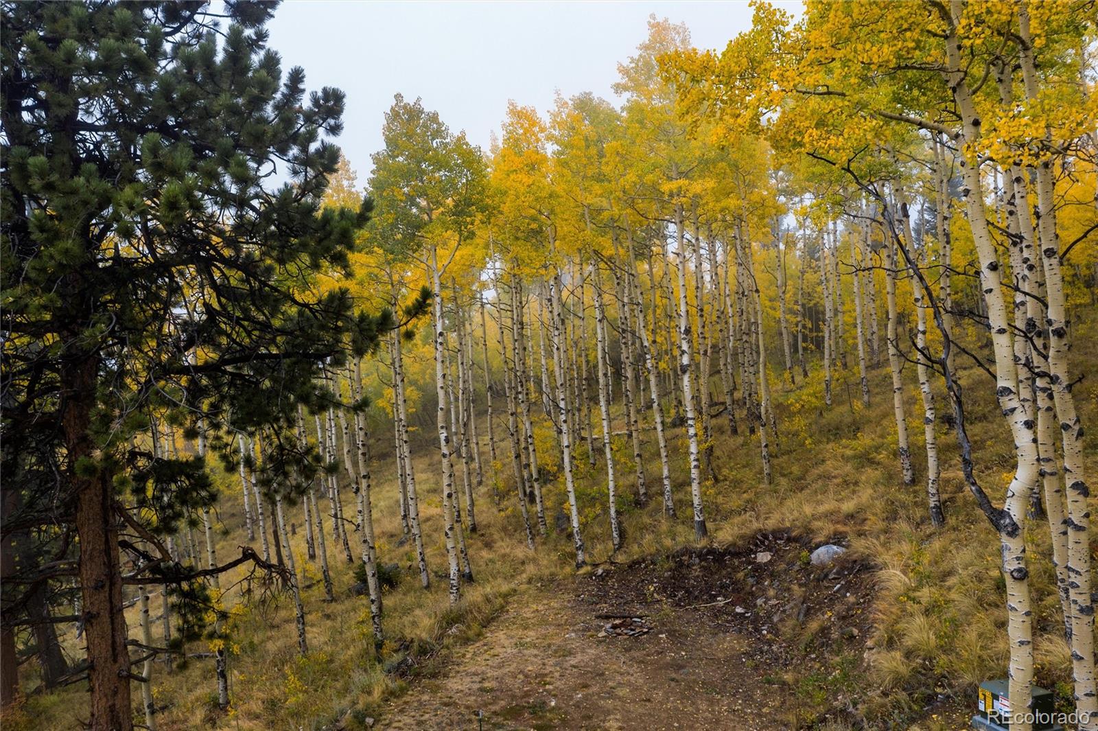 0 Robinson Hill Road Golden CO 80403