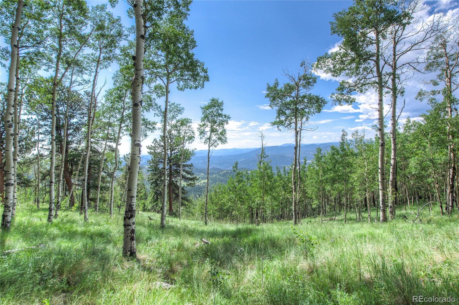0 Robinson Hill Road Golden CO 80403