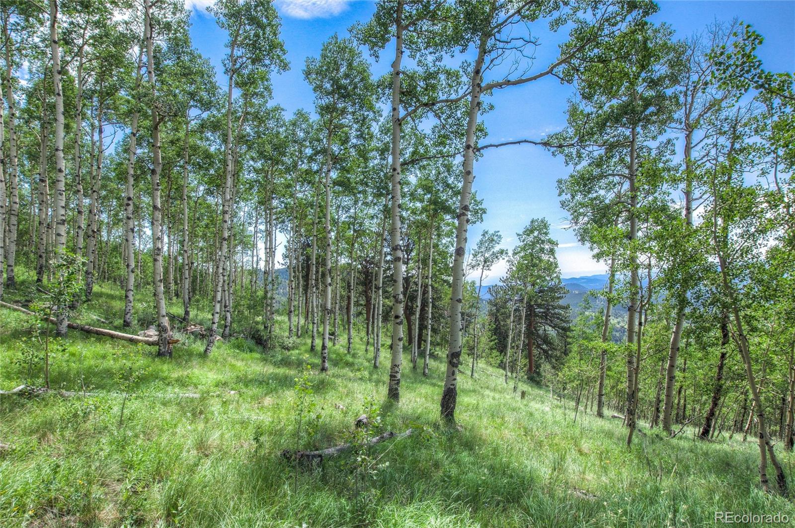 0 Robinson Hill Road Golden CO 80403