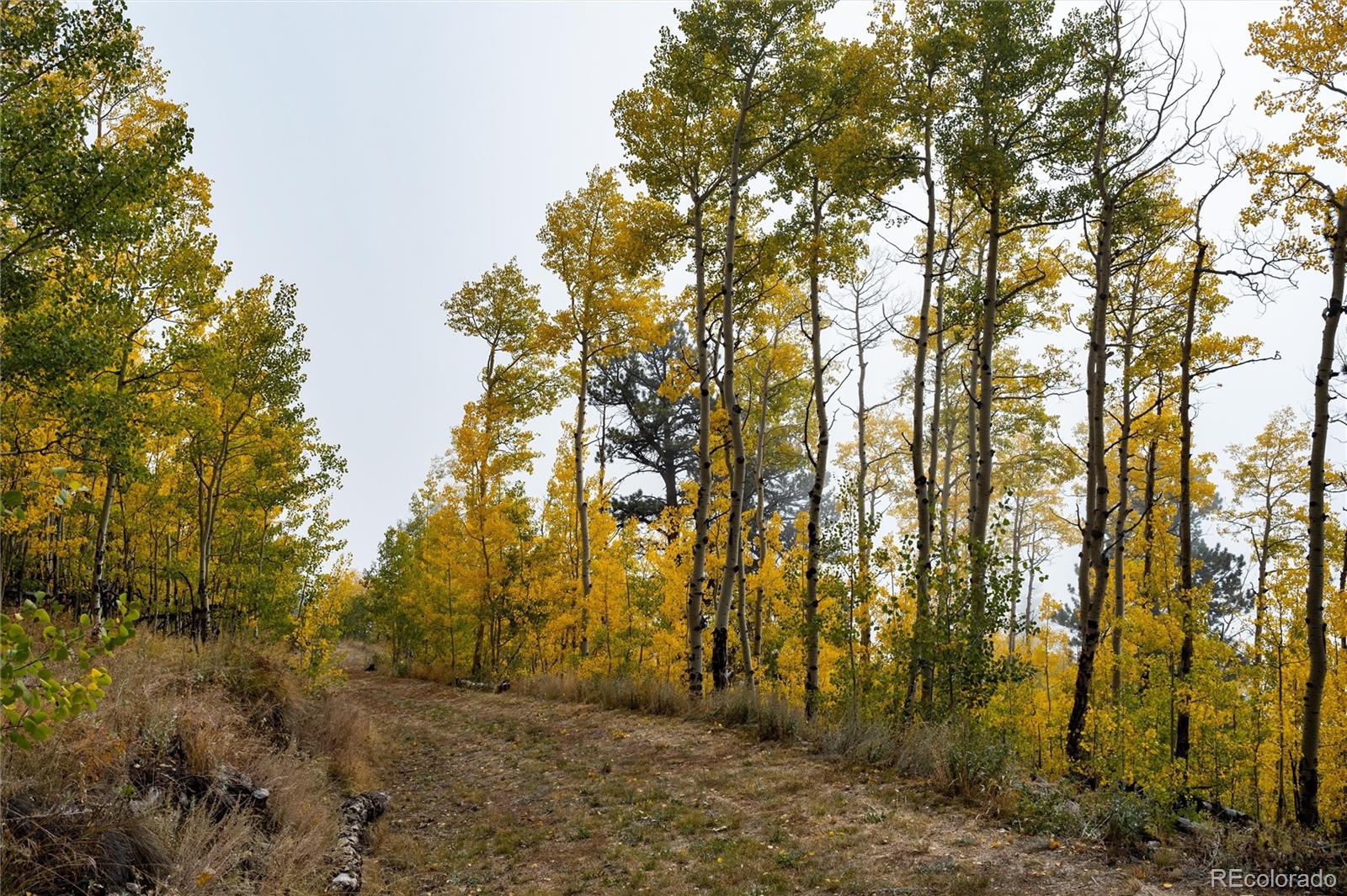 0 Robinson Hill Road Golden CO 80403