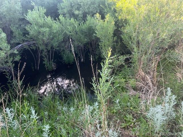 Lot 2950 Motley Road Fort Garland CO 81133