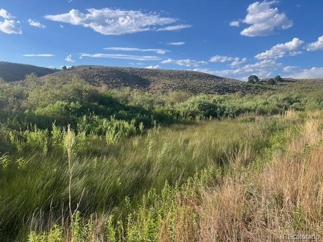 Lot 2950 Motley Road Fort Garland CO 81133