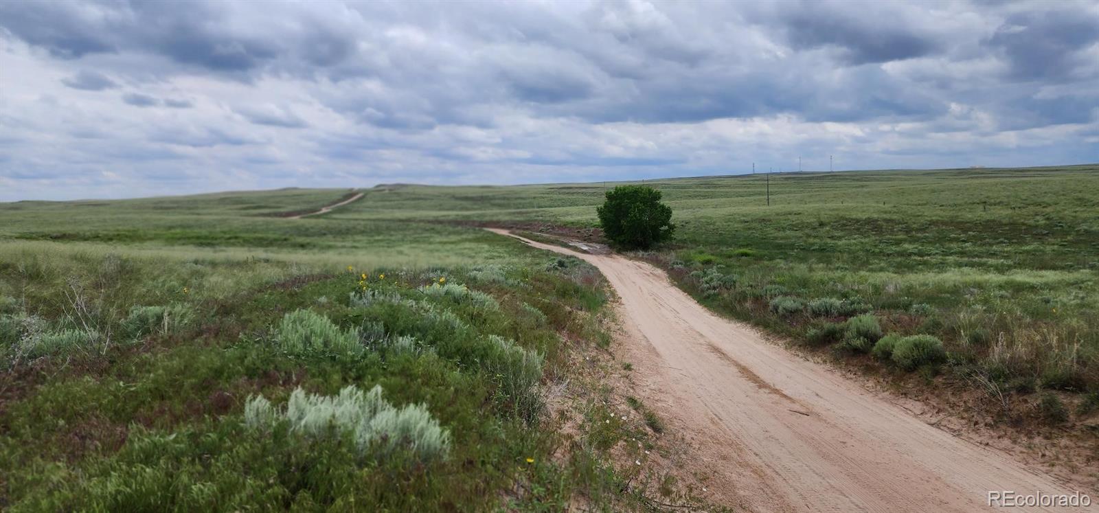 R8977762 Orchard CO 80469