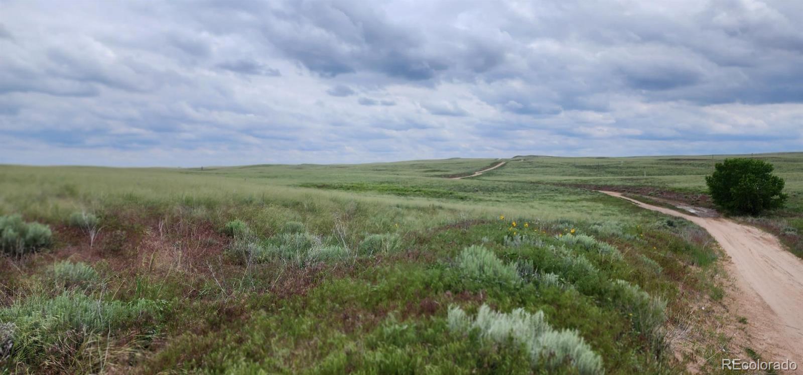 R8977762 Orchard CO 80469