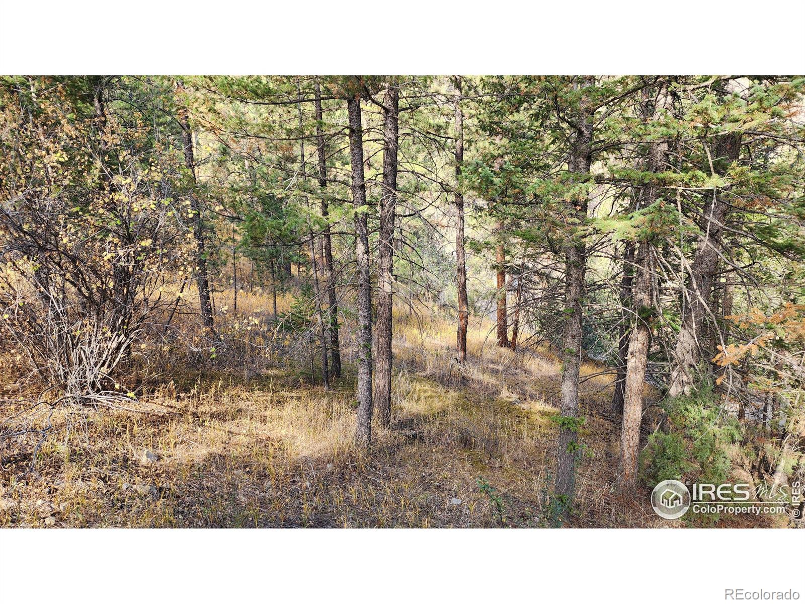 84 Copper Hill Road Glen Haven CO 80532