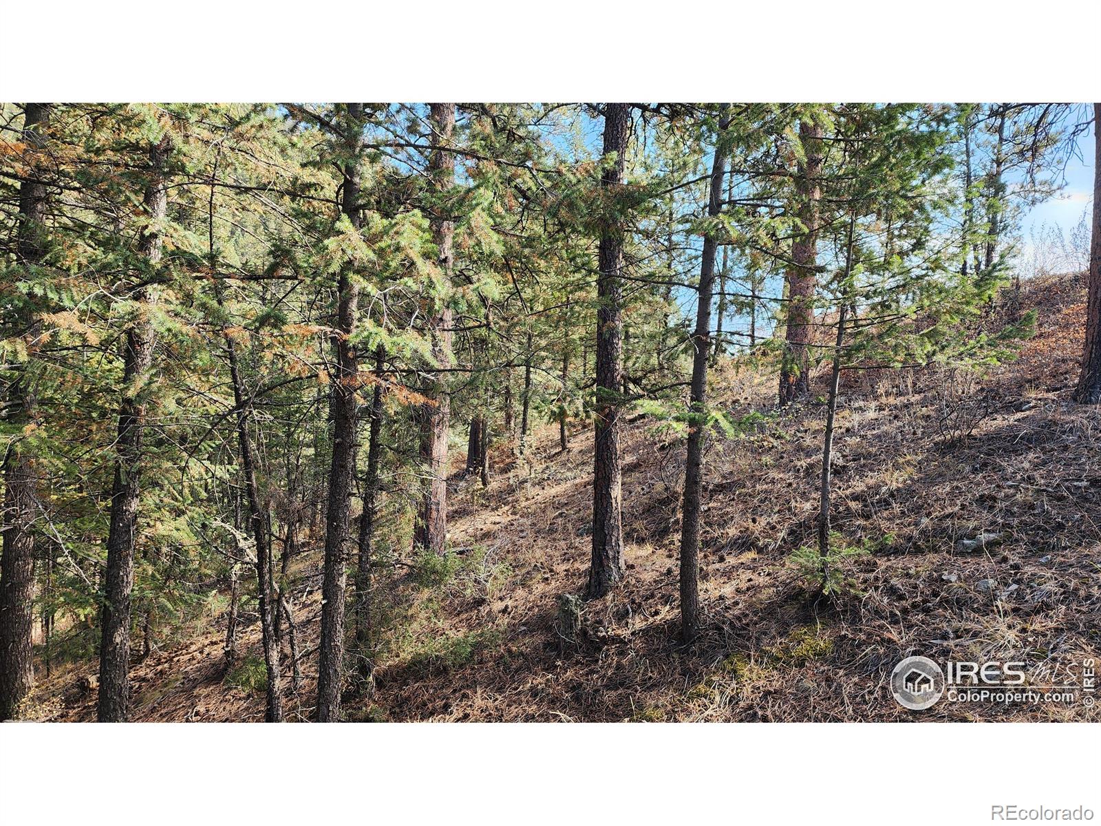 84 Copper Hill Road Glen Haven CO 80532