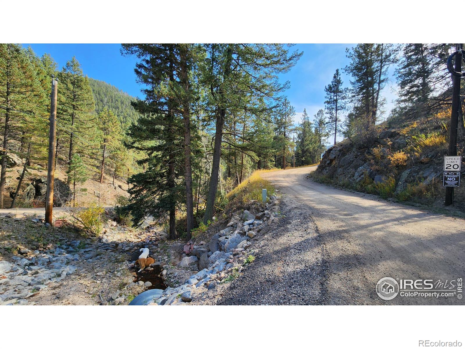 84 Copper Hill Road Glen Haven CO 80532