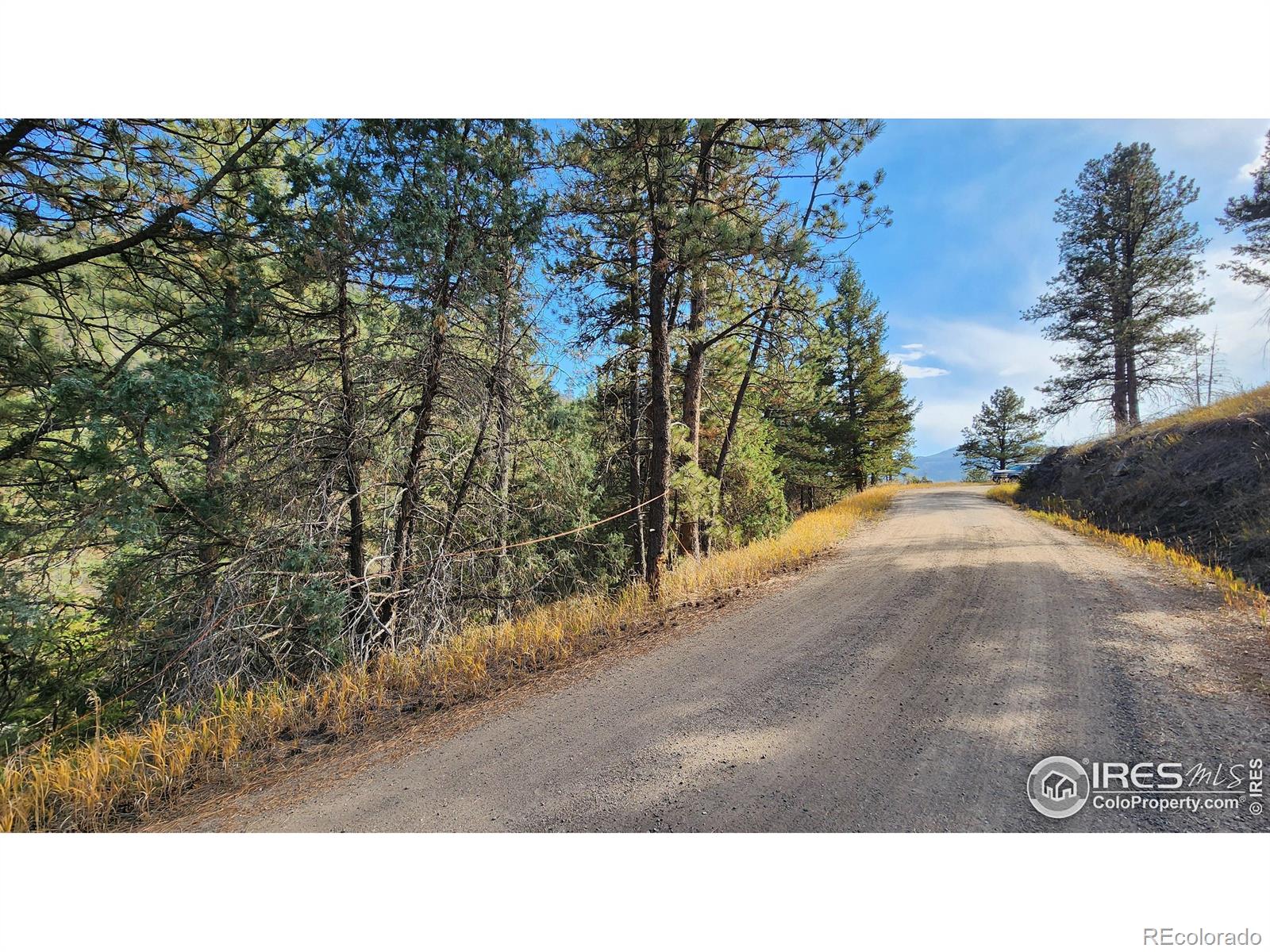 84 Copper Hill Road Glen Haven CO 80532