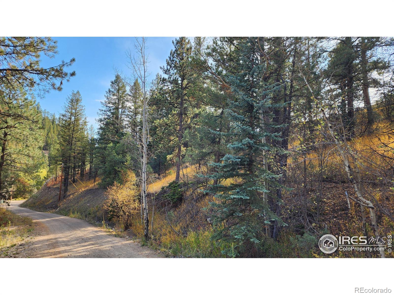 84 Copper Hill Road Glen Haven CO 80532