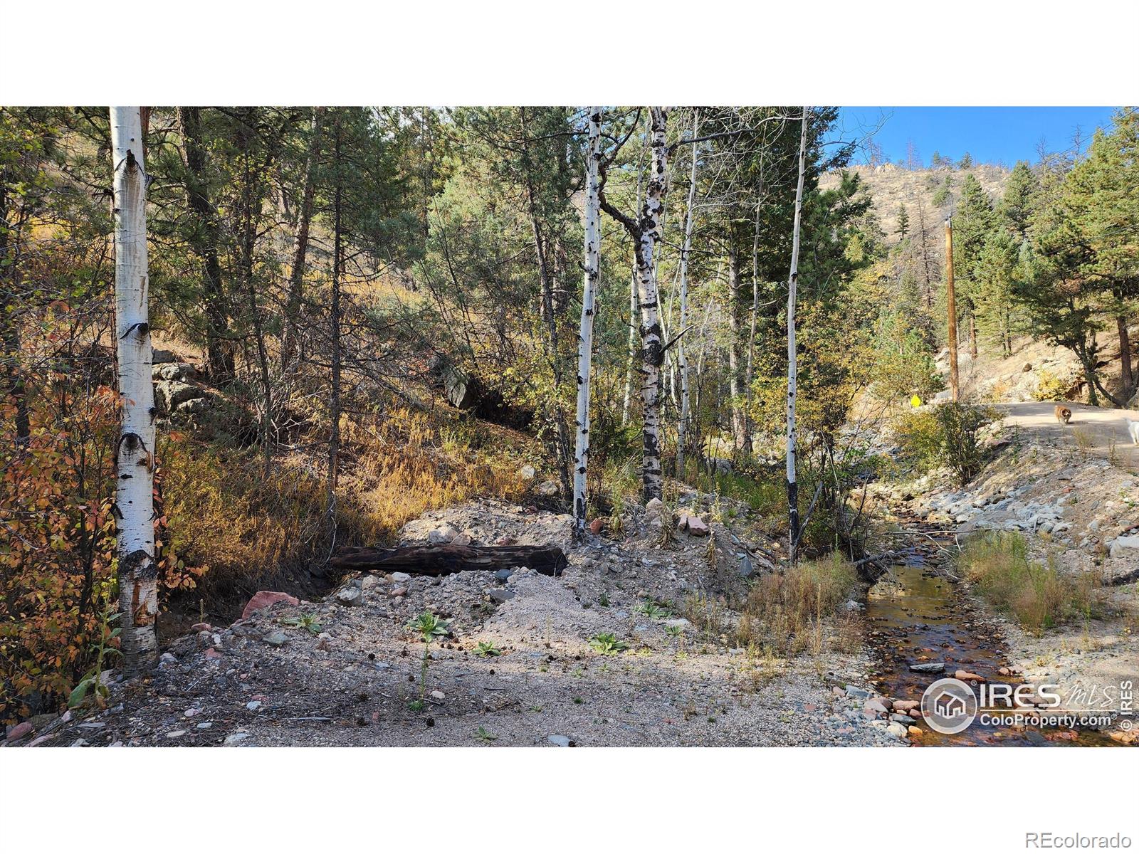 84 Copper Hill Road Glen Haven CO 80532