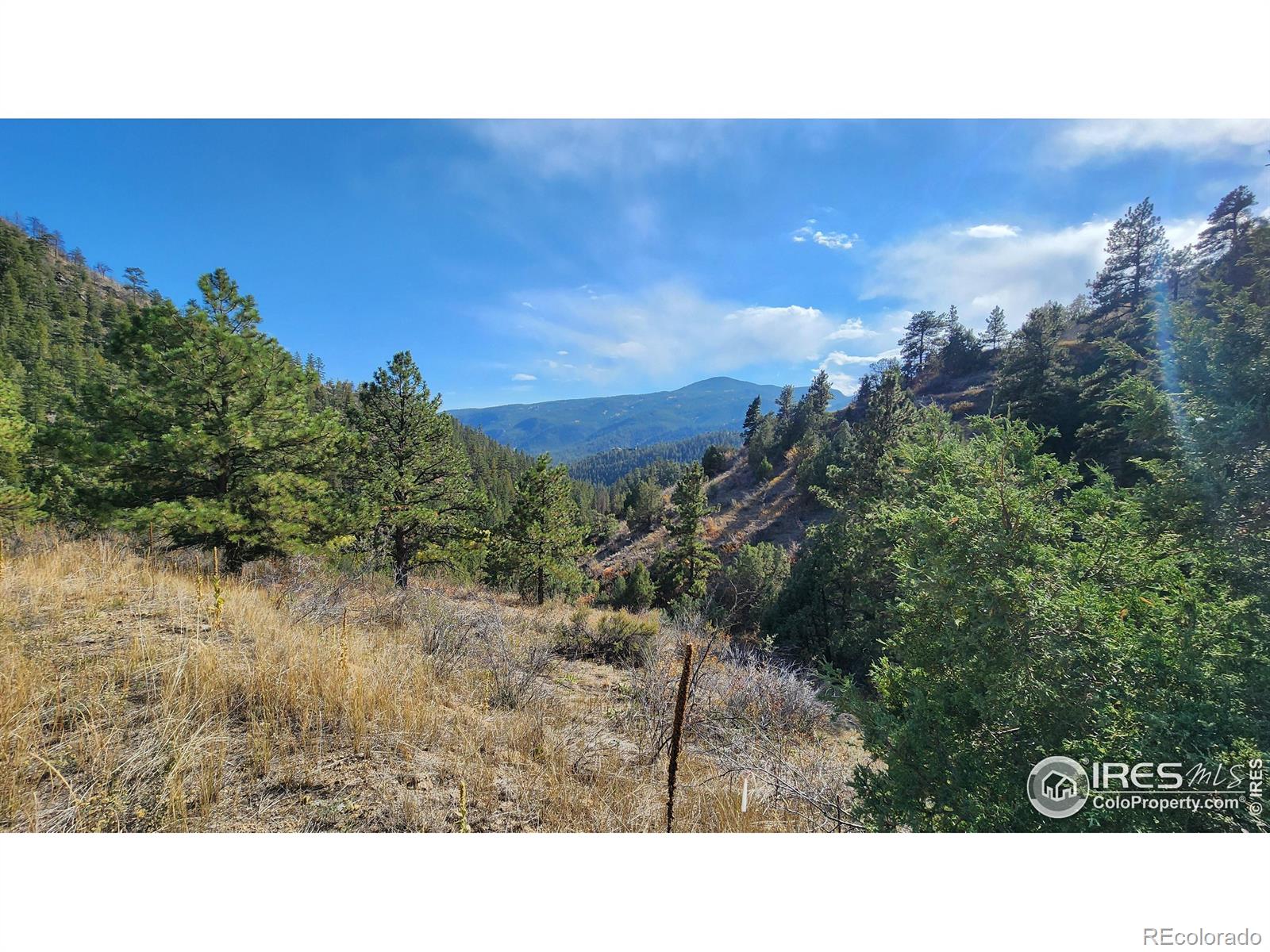 84 Copper Hill Road Glen Haven CO 80532