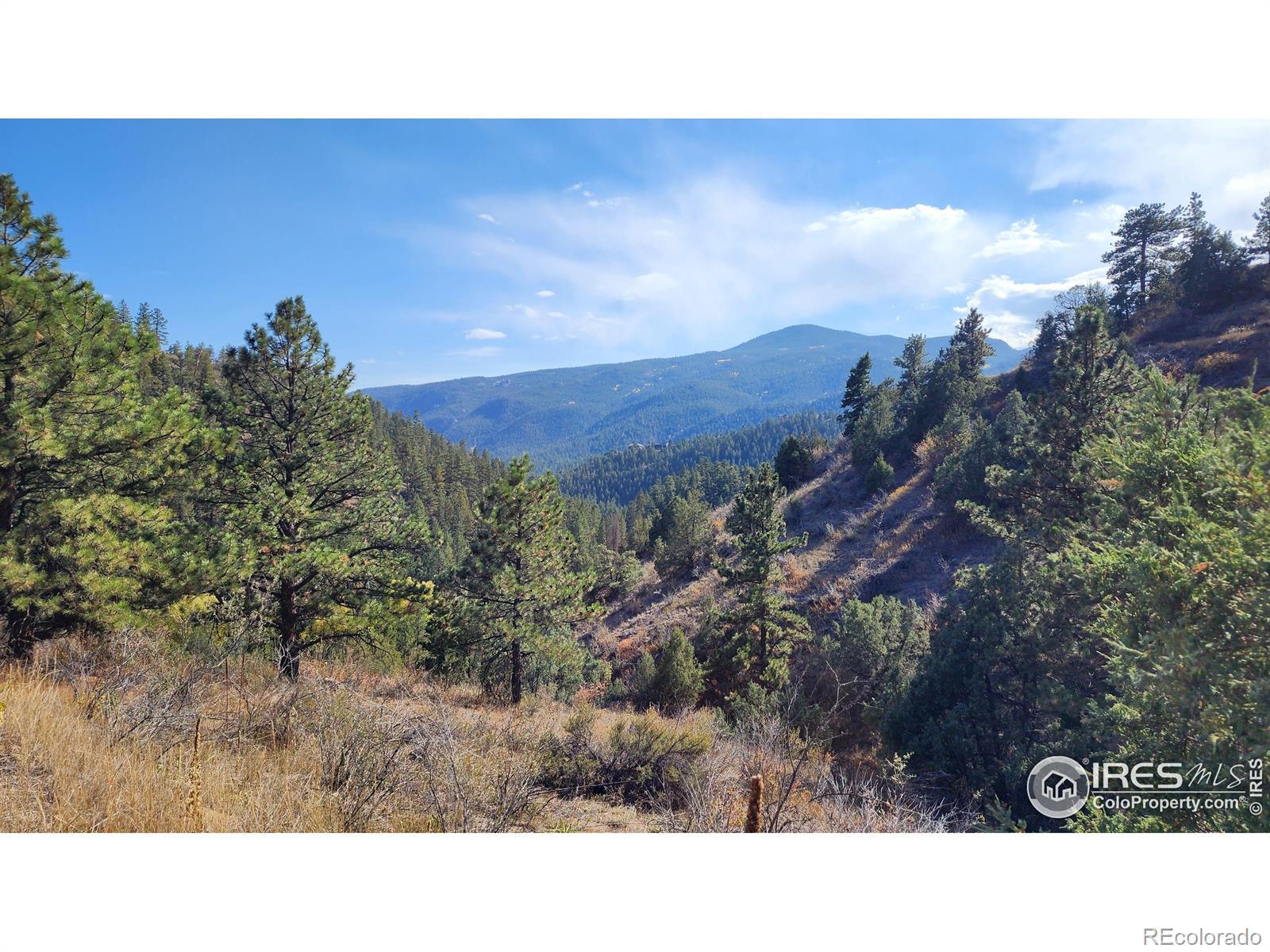 84 Copper Hill Road Glen Haven CO 80532