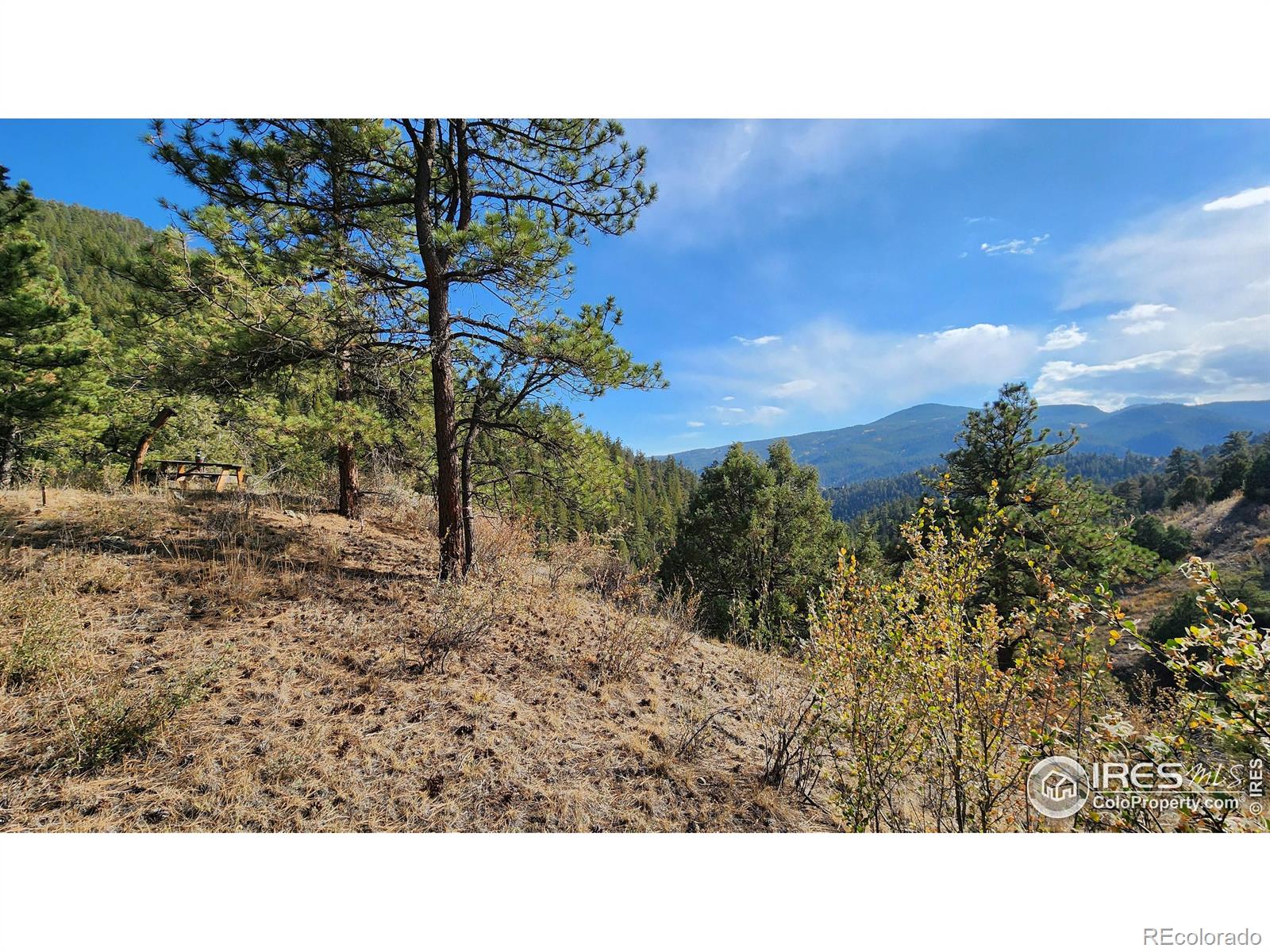84 Copper Hill Road Glen Haven CO 80532