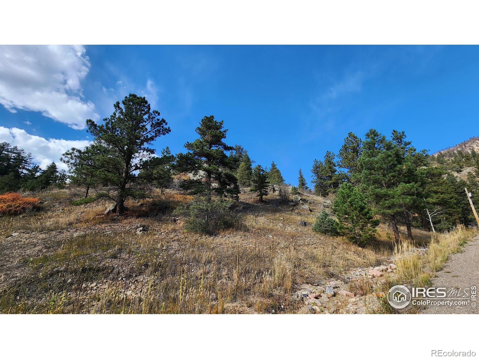 84 Copper Hill Road Glen Haven CO 80532