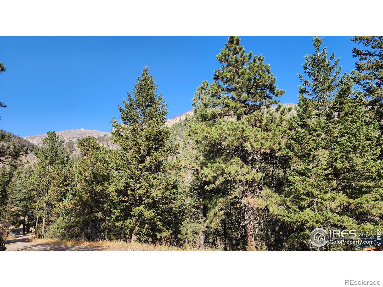 84 Copper Hill Road Glen Haven CO 80532