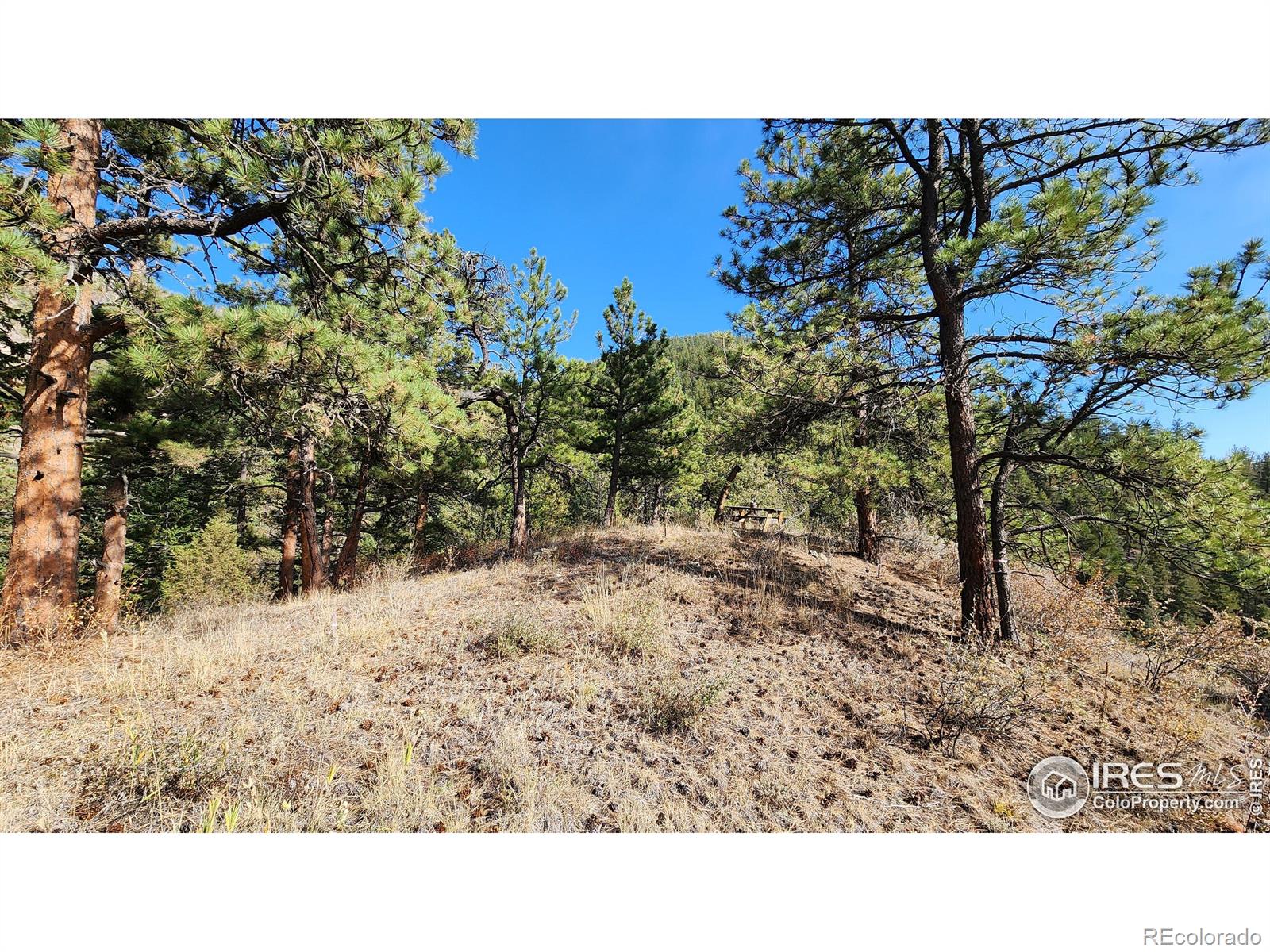84 Copper Hill Road Glen Haven CO 80532