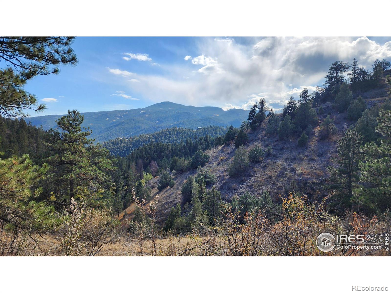 84 Copper Hill Road Glen Haven CO 80532