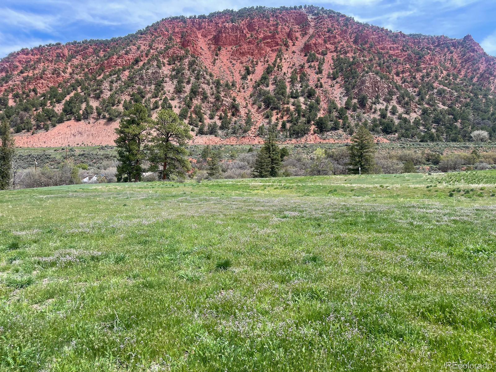 29 Spirit Mountain Drive Carbondale CO 81623