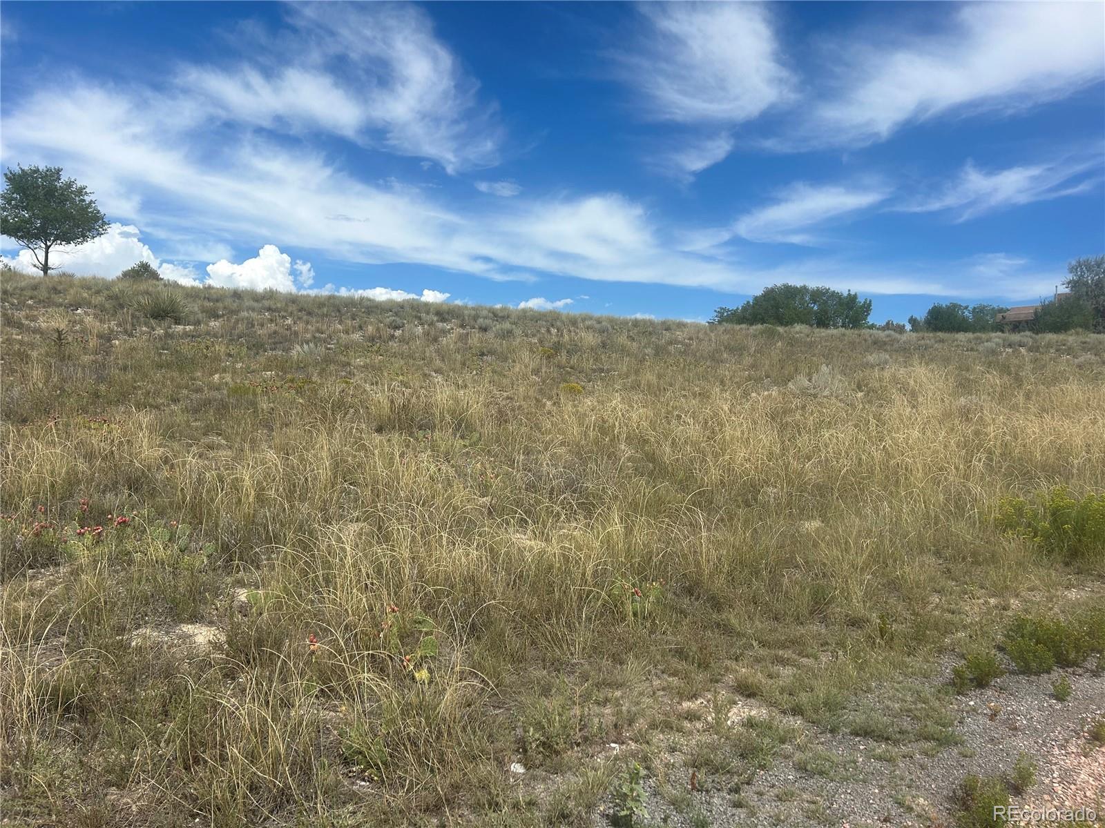 213 W Palomar Plaza Pueblo West CO 81007
