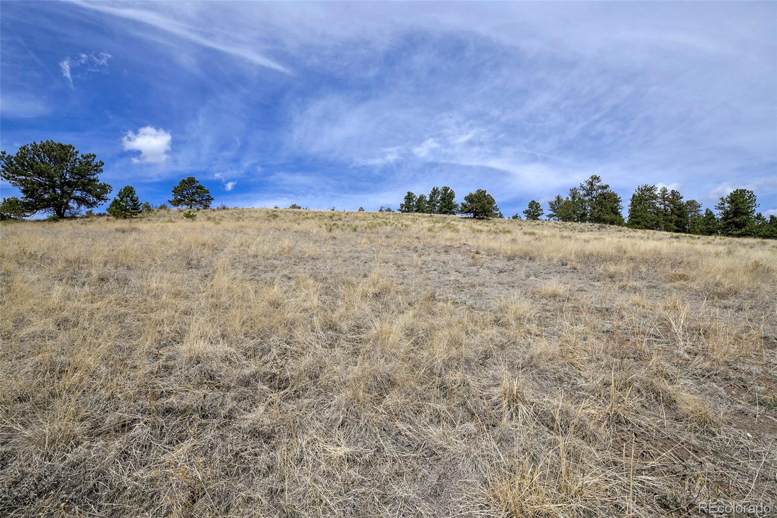 109 High Pasture Road Florissant CO 80816