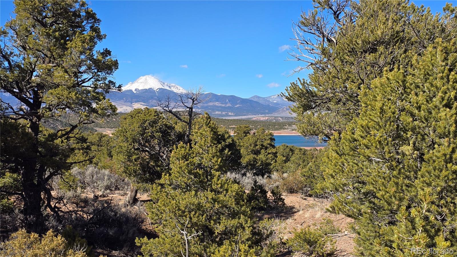 Lot 409 Williams Road Fort Garland CO 81133