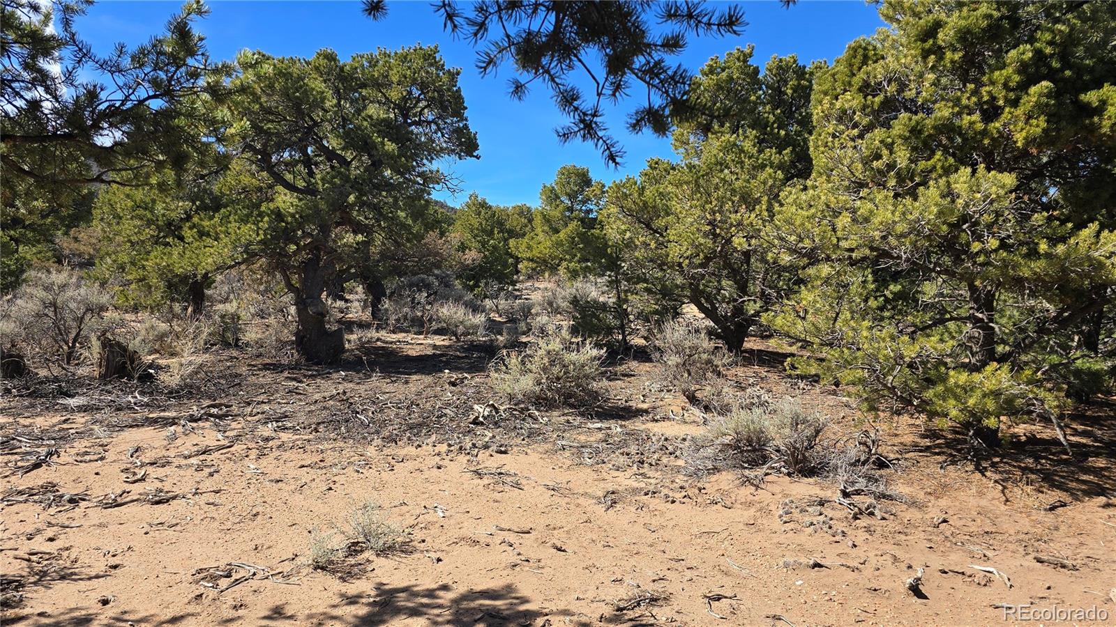 Lot 409 Williams Road Fort Garland CO 81133