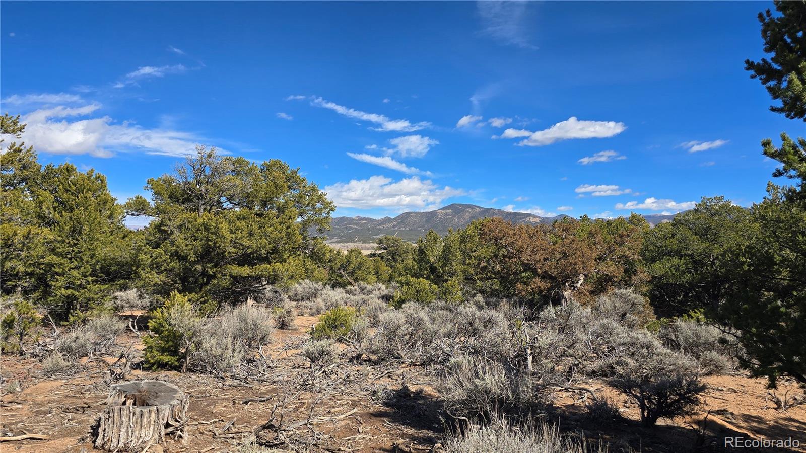 Lot 409 Williams Road Fort Garland CO 81133