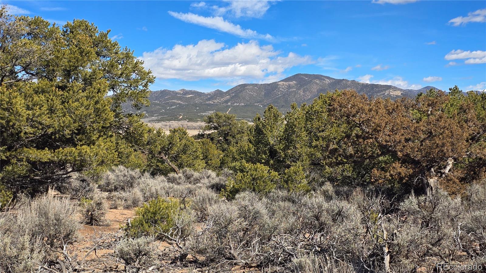 Lot 409 Williams Road Fort Garland CO 81133