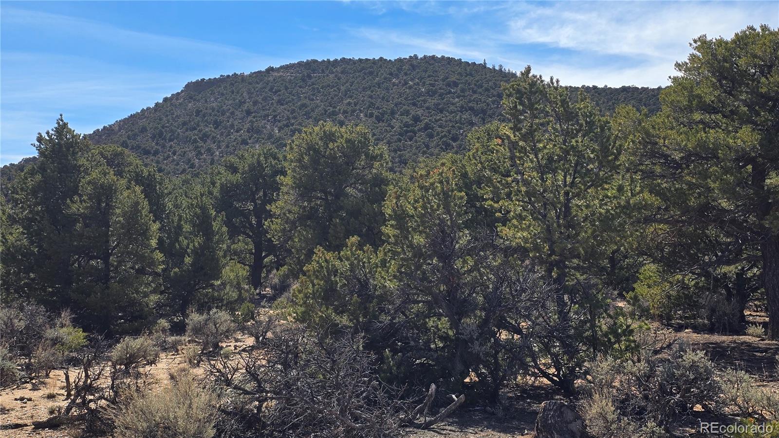 Lot 409 Williams Road Fort Garland CO 81133
