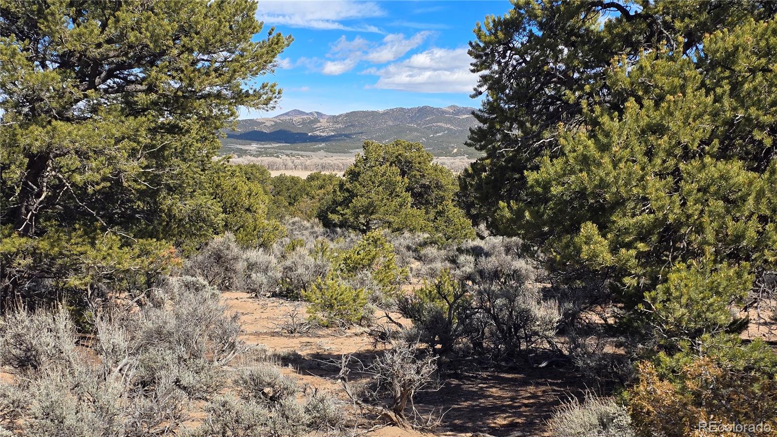 Lot 409 Williams Road Fort Garland CO 81133
