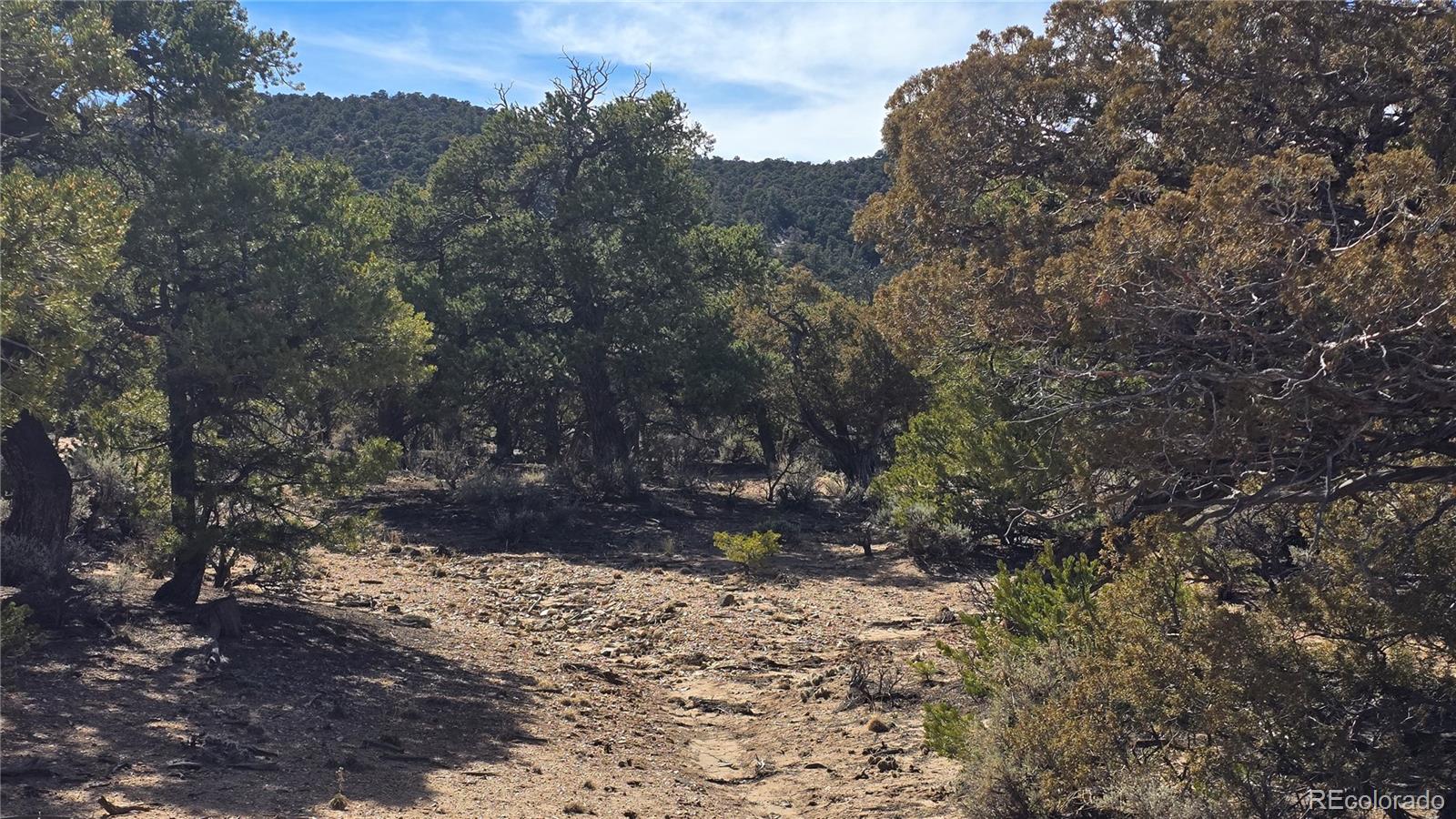Lot 409 Williams Road Fort Garland CO 81133