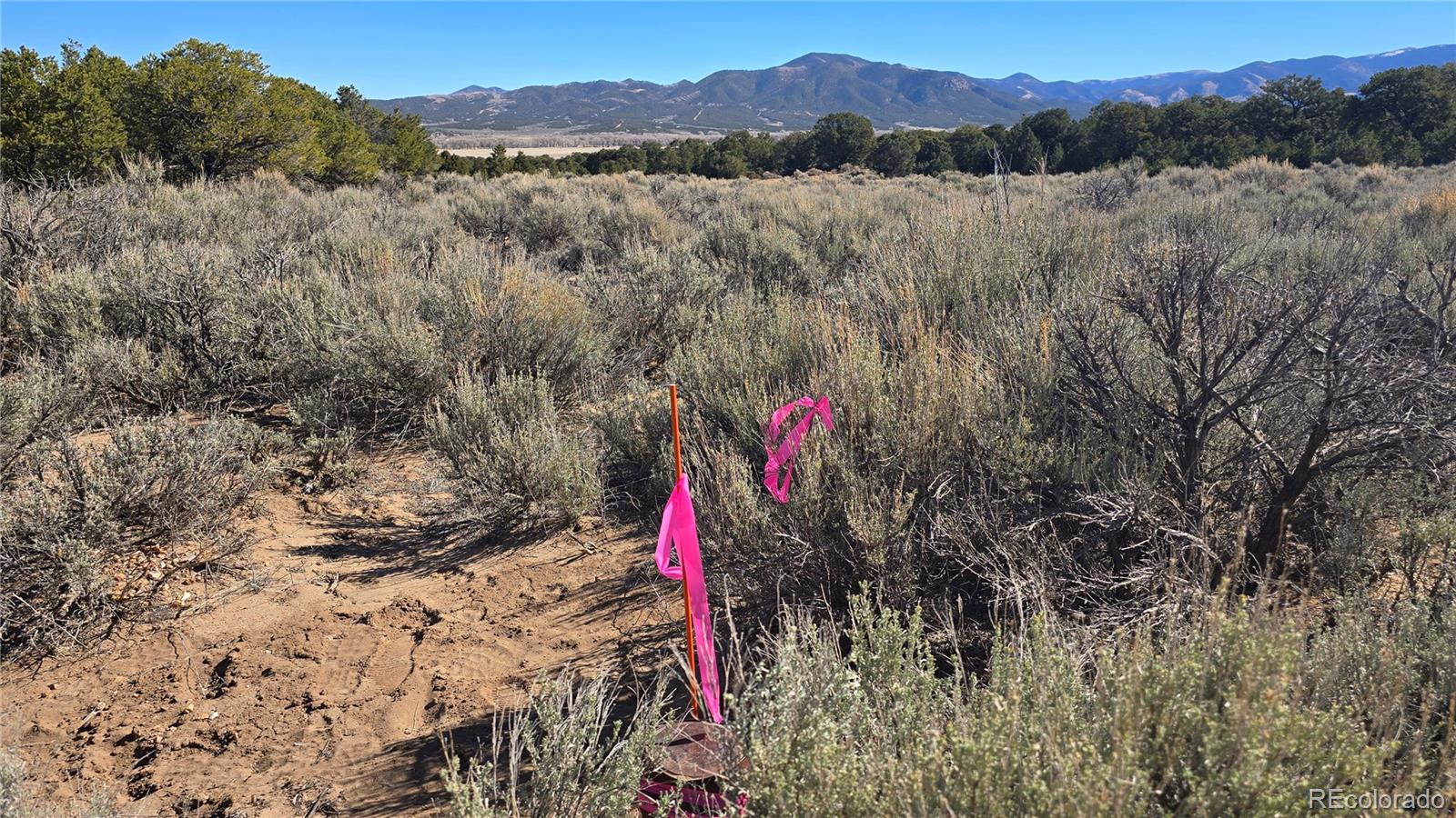 Lot 409 Williams Road Fort Garland CO 81133