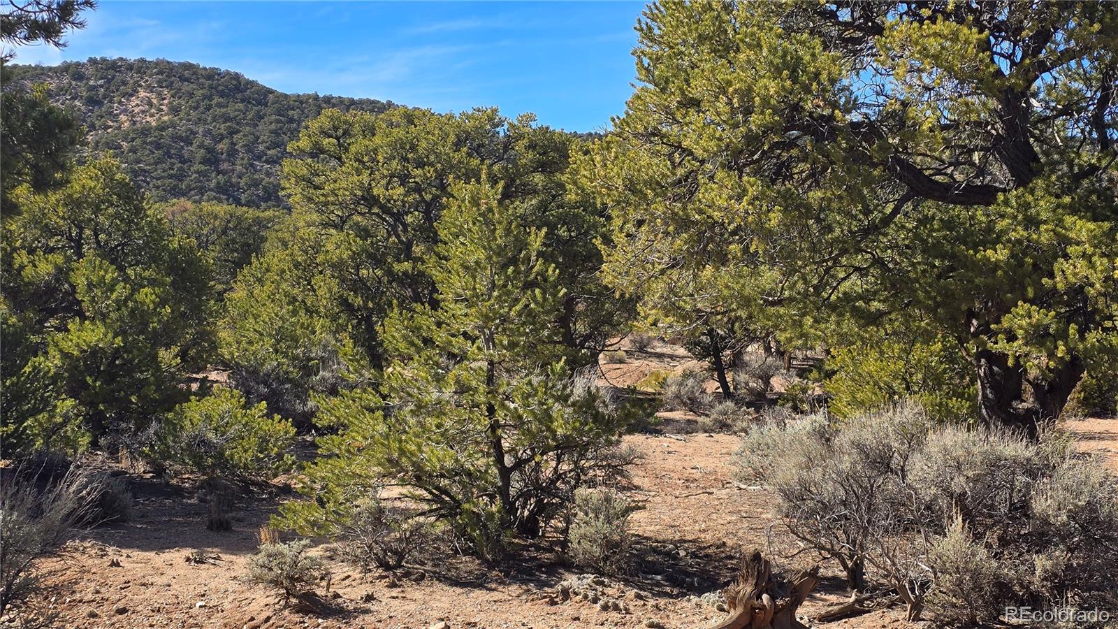 Lot 409 Williams Road Fort Garland CO 81133