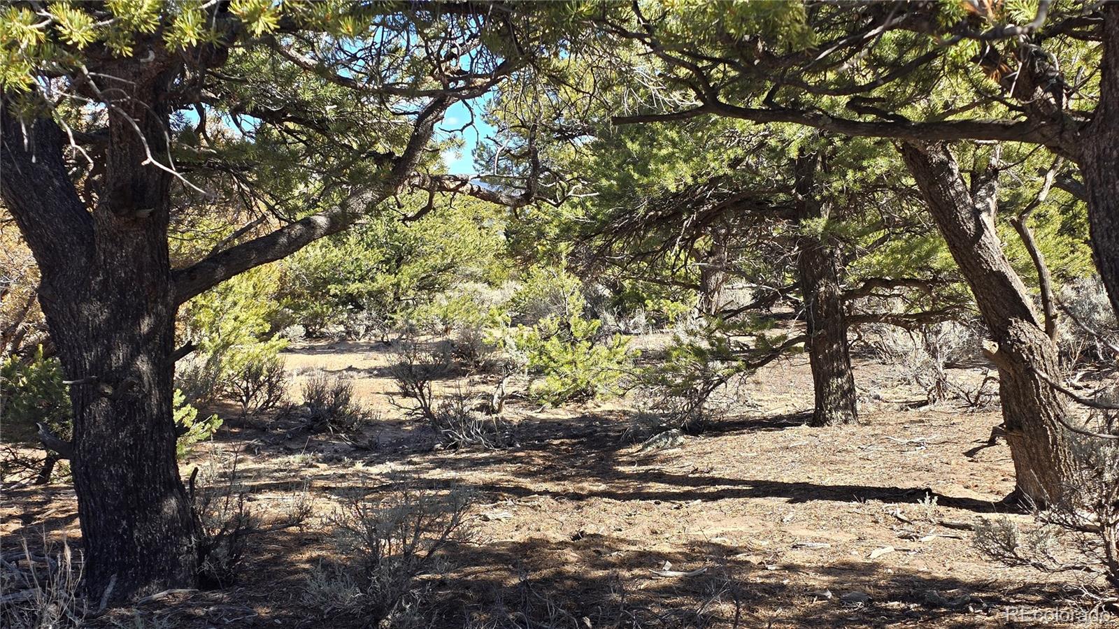 Lot 409 Williams Road Fort Garland CO 81133