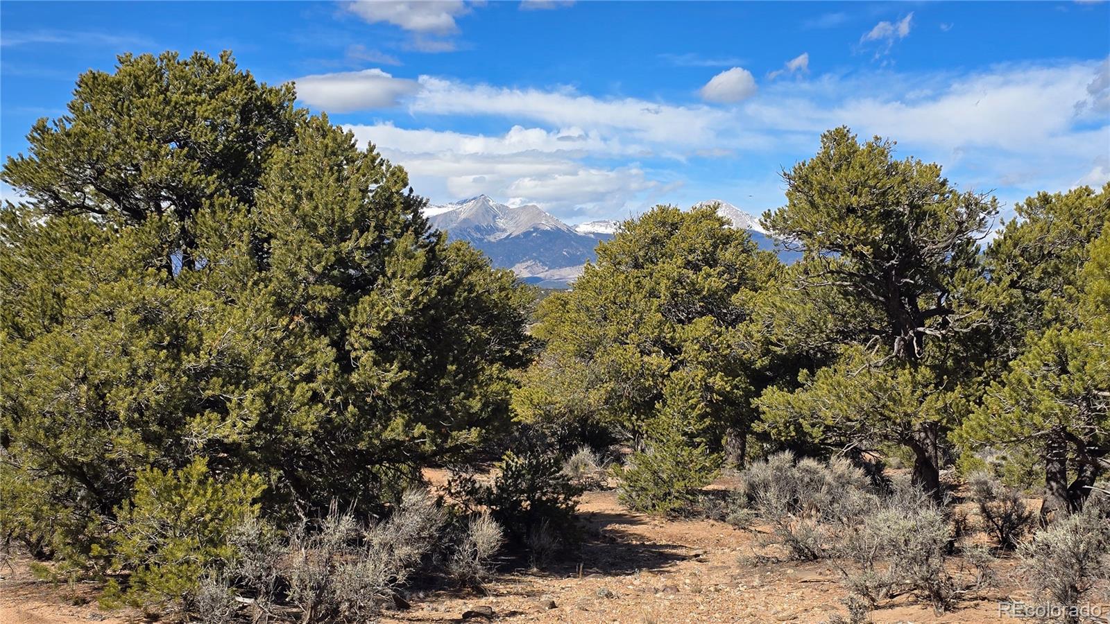 Lot 409 Williams Road Fort Garland CO 81133