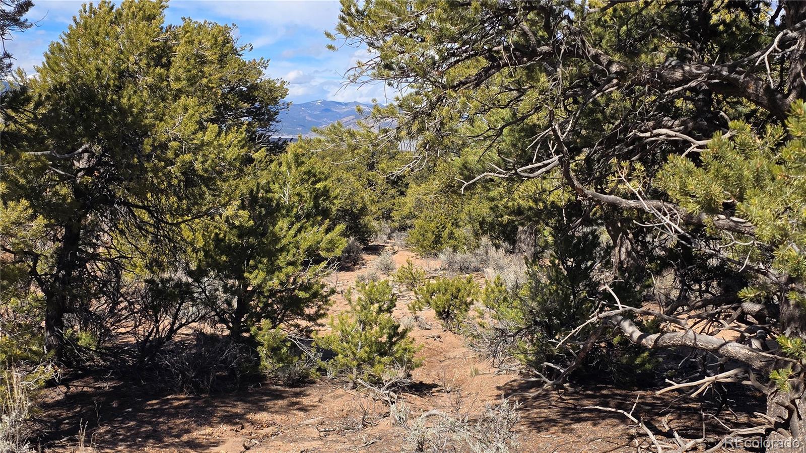 Lot 409 Williams Road Fort Garland CO 81133
